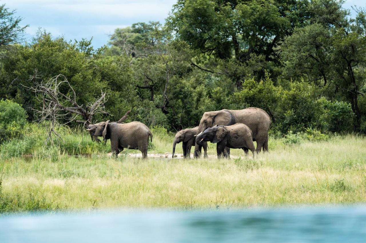 Shumbalala Game Lodge Thornybush Game Reserve Exterior foto